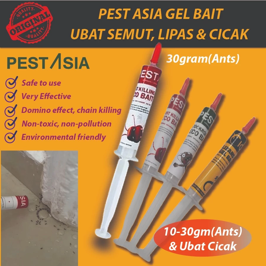 Eco-friendly ant bait