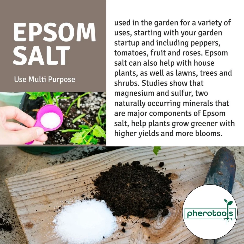 Epsom Salt Organic Fertilizer