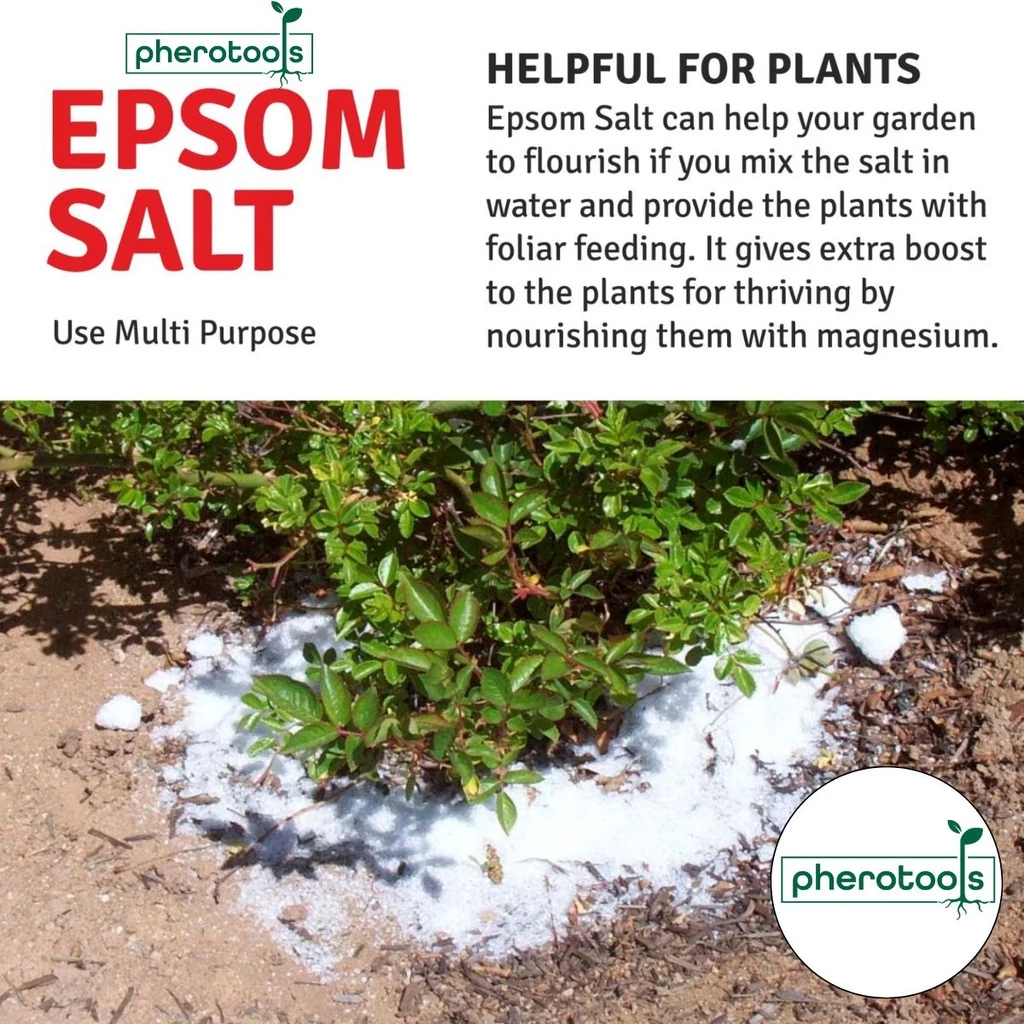 Epsom Salt Organic Fertilizer